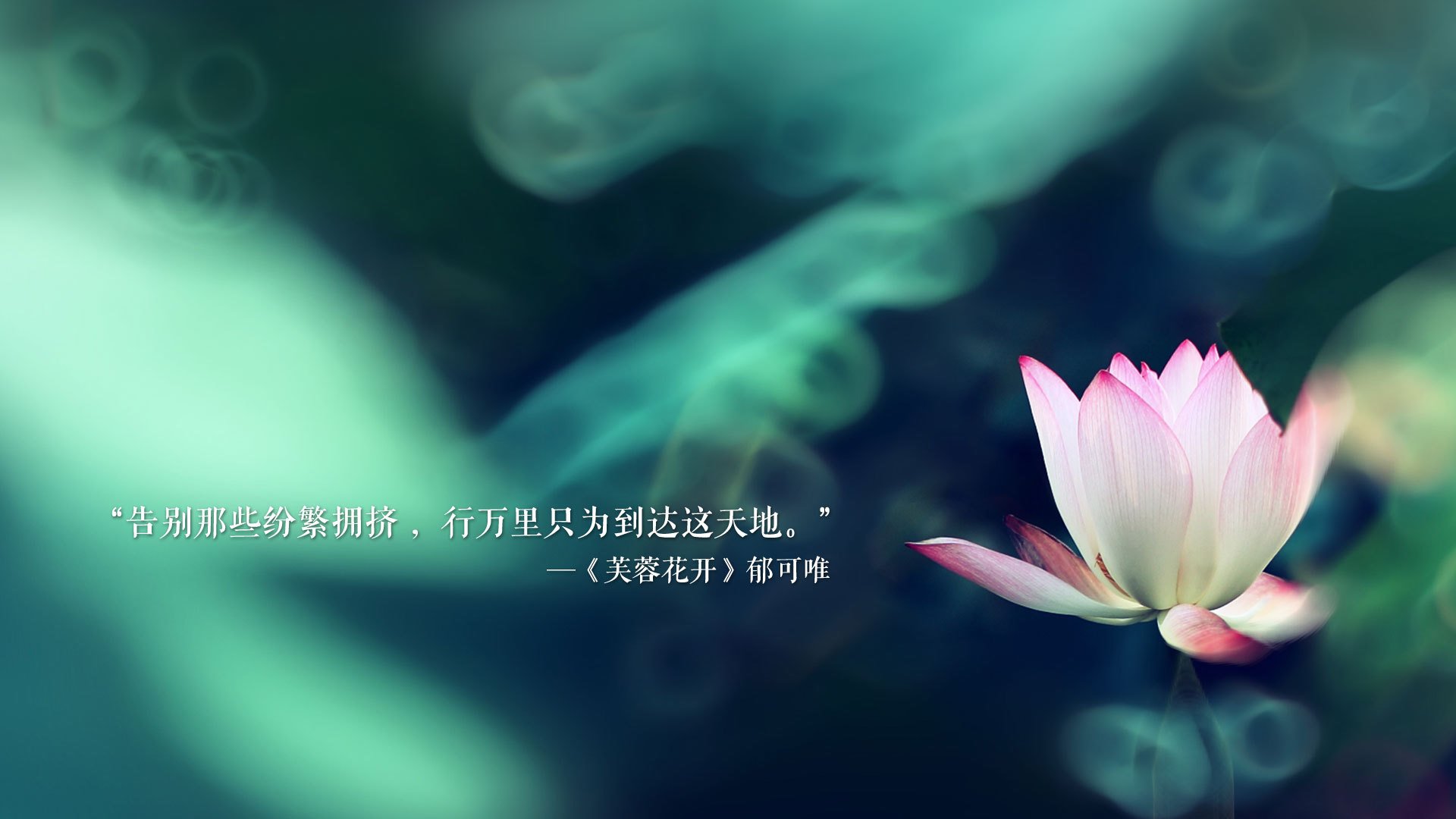 热火战胜凯尔特人！，热火对凯尔特人热火逆袭
