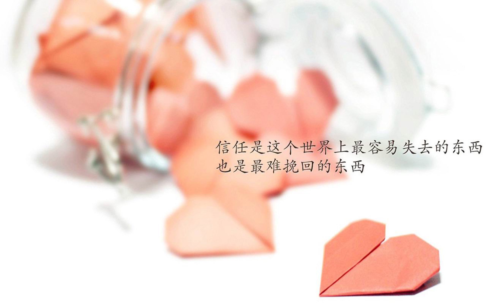 九游娱乐(jiuyou)官网-美国队战胜委内瑞拉，杰伦尼达进球，美国队战胜委内瑞拉,杰伦尼达进球了吗