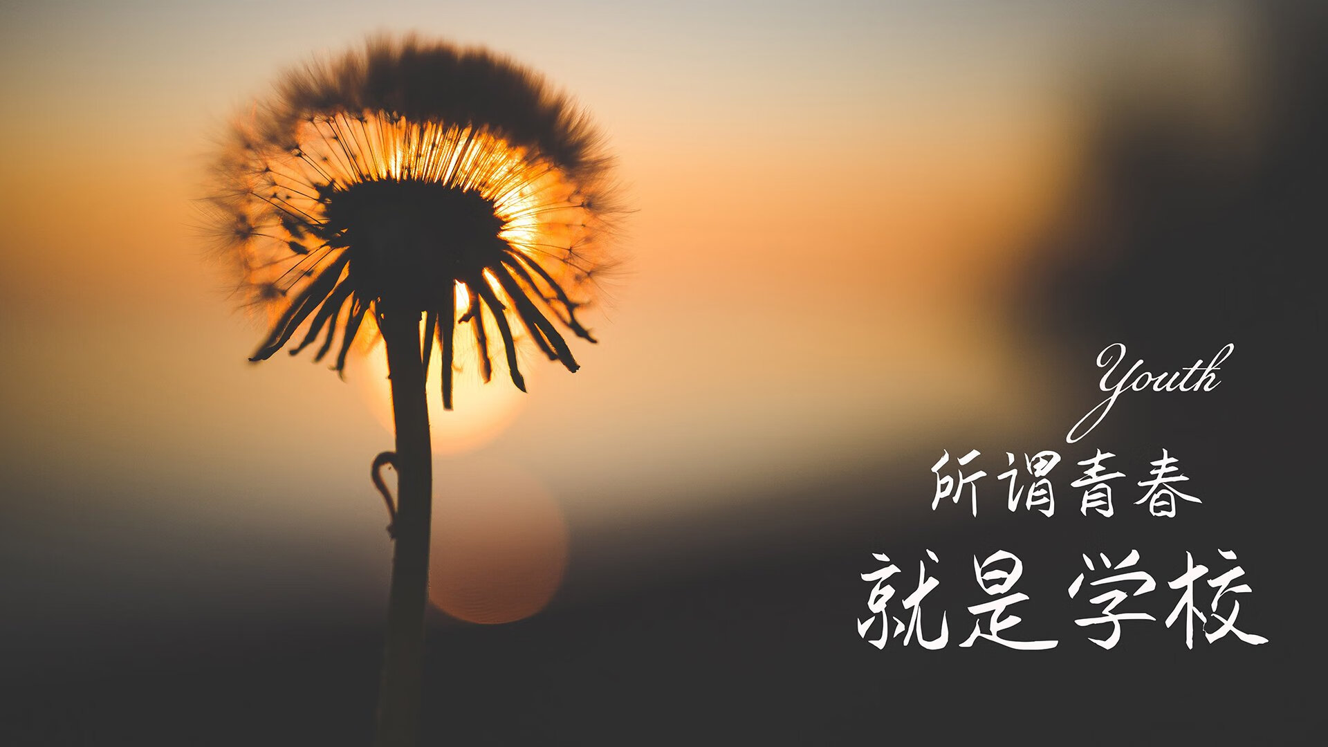 美国男足在巴黎奥运会比赛中表现出色，赢得奖牌，成绩被女足甩开一大截,但美国男足票价却力压世界冠军