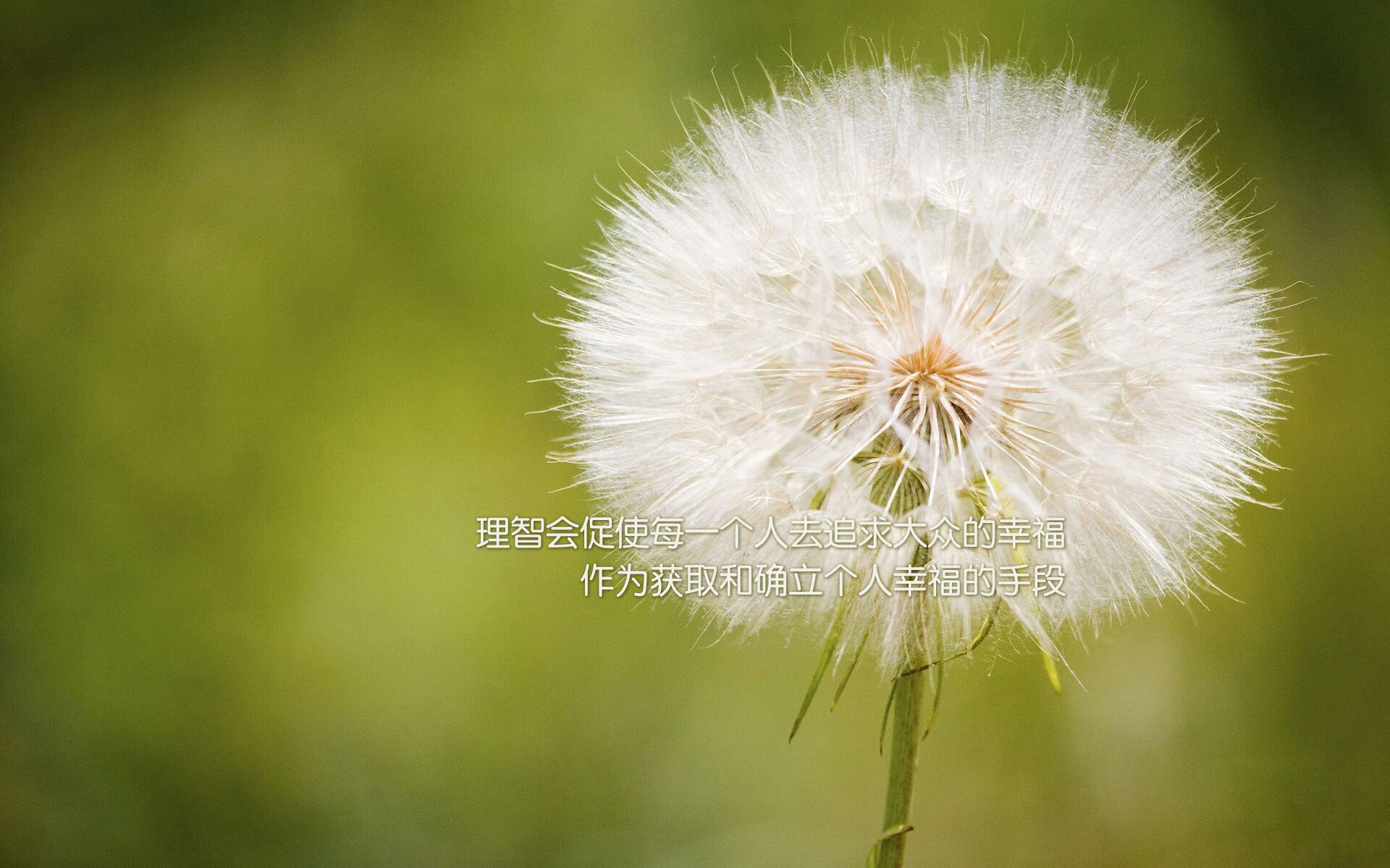 九游游戏中心-英超球队高压比赛中运动员心理韧性与表现关系研究