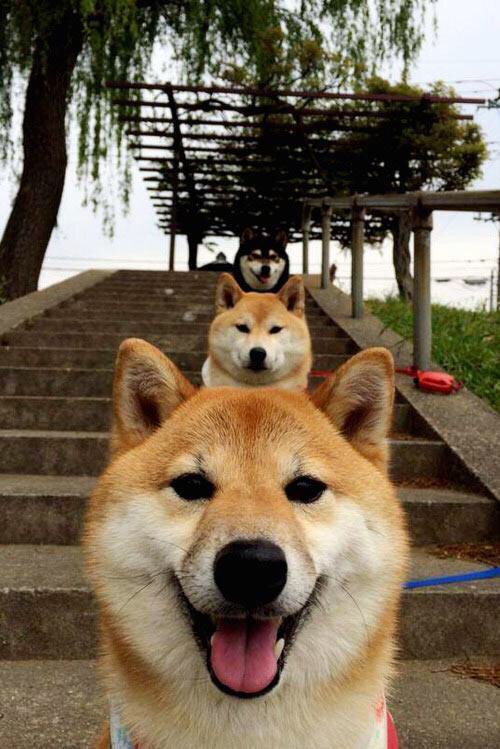 球员惯用节奏与团队战术是否存在冲突，球员惯用节奏与团队战术是否存在冲突的原因