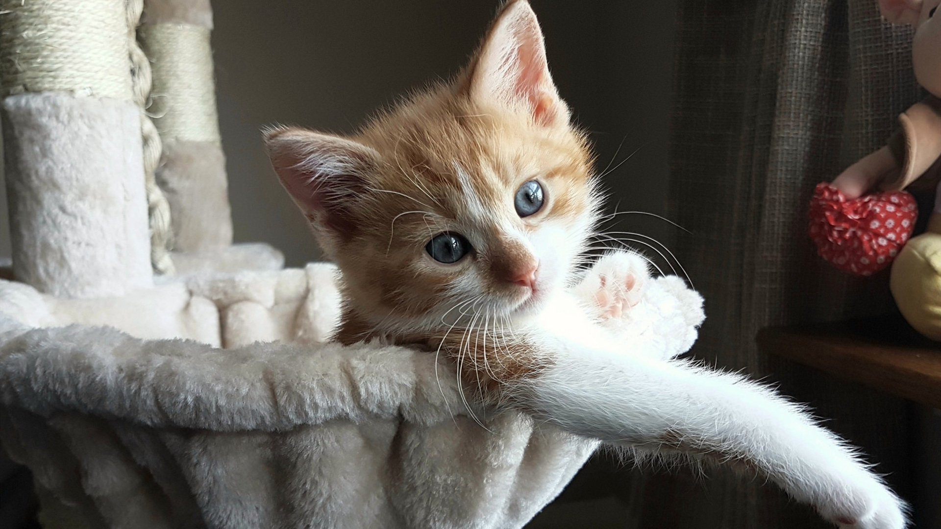 奥卡拉汉与对手差距在哪？技术分析来了，奥卡兰迪