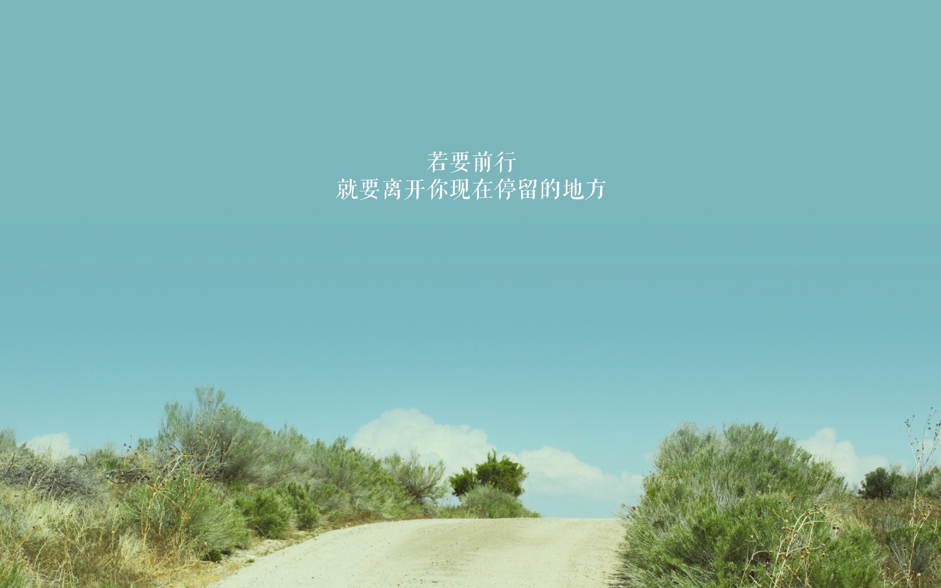 斯洛伐克女篮在欧洲预赛中表现优异，期待奥运出线，斯洛伐克u20女篮