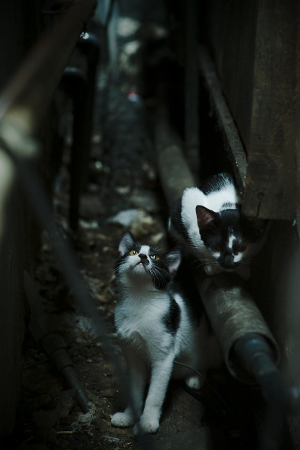 九游网页版官网-林丹接受老友采访重温经典比赛瞬间，林丹合集