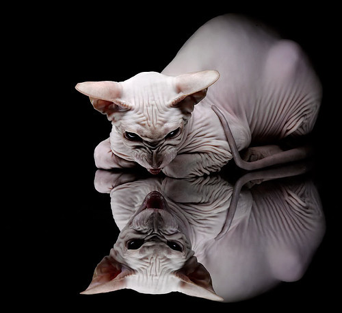 九游(jiuyou)官方网站-篮网教练组谈战术理念更新更高效，篮网教练团队