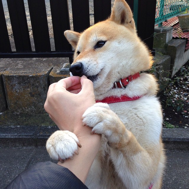 九游(jiuyou)官方网站-霍勒迪控场稳健零失误完成比赛，霍勒迪 集锦