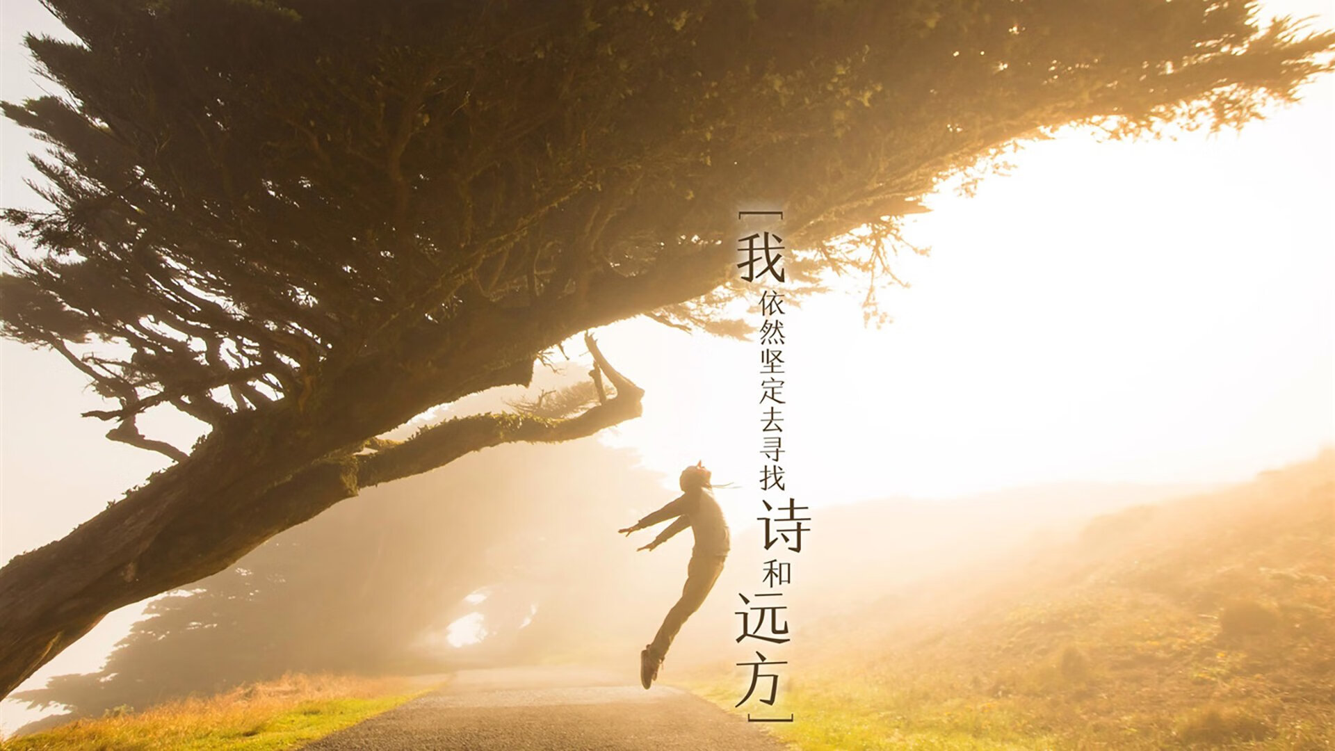 九游网页版入口-麦肯齐：全黑队背后进攻的关键，突破防线如入无人之境，麦肯齐分了多少钱